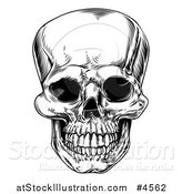 Vector Illustration of a Black and White Vintage Human Skull by AtStockIllustration