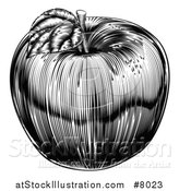 Vector Illustration of a Black and White Vintage Woodcut Apple by AtStockIllustration
