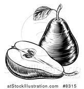 Vector Illustration of a Black and White Vintage Woodcut or Engraved Pear and Half by AtStockIllustration