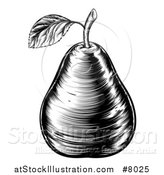 Vector Illustration of a Black and White Vintage Woodcut Pear by AtStockIllustration