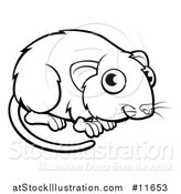 Vector Illustration of a Black and White Vole by AtStockIllustration