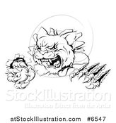Vector Illustration of a Black and White Wild Cat Slashing Through a Wall by AtStockIllustration