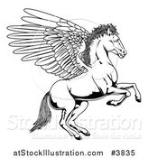 Vector Illustration of a Black and White Winged Pegasus Horse Rearing Outline by AtStockIllustration