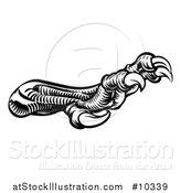 Vector Illustration of a Black and White Woodcut Dragon Claws by AtStockIllustration