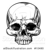 Vector Illustration of a Black and White Woodcut Etched or Engraved Skull by AtStockIllustration