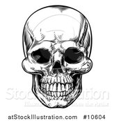 Vector Illustration of a Black and White Woodcut Etched or Engraved Skull by AtStockIllustration