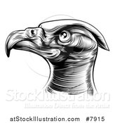 Vector Illustration of a Black and White Woodcut or Engraved Bald Eagle Head by AtStockIllustration