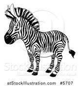 Vector Illustration of a Black and White Zebra by AtStockIllustration