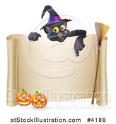 Vector Illustration of a Black Cat Wearing a Witch Hat and Pointing down at a Halloween Sign with Pumpkins and a Broomstick by AtStockIllustration