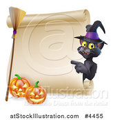 Vector Illustration of a Black Cat Wearing a Witch Hat and Pointing to a Scroll Sign with a Broomstick and Halloween Pumpkins by AtStockIllustration