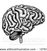 Vector Illustration of a Black Etched Human Brain by AtStockIllustration