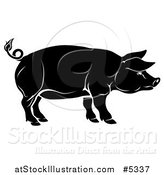 Vector Illustration of a Black Pig in Profile by AtStockIllustration