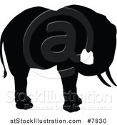 Vector Illustration of a Black Silhouetted Elephant by AtStockIllustration