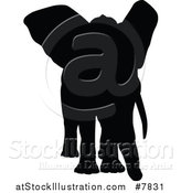 Vector Illustration of a Black Silhouetted Elephant by AtStockIllustration