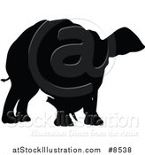 Vector Illustration of a Black Silhouetted Elephant by AtStockIllustration