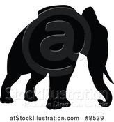 Vector Illustration of a Black Silhouetted Elephant by AtStockIllustration