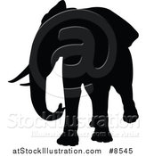 Vector Illustration of a Black Silhouetted Elephant by AtStockIllustration