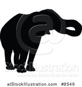 Vector Illustration of a Black Silhouetted Elephant by AtStockIllustration