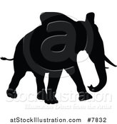 Vector Illustration of a Black Silhouetted Elephant Walking by AtStockIllustration