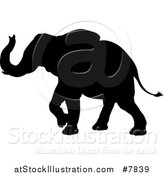 Vector Illustration of a Black Silhouetted Elephant Walking by AtStockIllustration