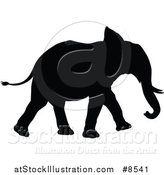 Vector Illustration of a Black Silhouetted Elephant Walking by AtStockIllustration