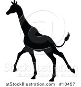 Vector Illustration of a Black Silhouetted Giraffe Running by AtStockIllustration