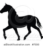 Vector Illustration of a Black Silhouetted Horse Prancing by AtStockIllustration