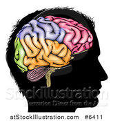 Vector Illustration of a Black Silhouetted Man's Head in Profile with a Visual Brain Showing Different Colored Sections by AtStockIllustration