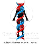 Vector Illustration of a Black Silhouetted Person in a Blue and Red Double Helix Dna Strand by AtStockIllustration