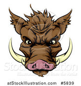 Vector Illustration of a Brown Aggressive Boar Mascot Face by AtStockIllustration