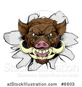 Vector Illustration of a Brown Boar Head Breaking Through a Wall by AtStockIllustration