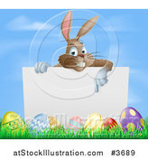 Vector Illustration of a Brown Bunny Pointing to a Sign over Easter Eggs by AtStockIllustration