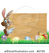 Vector Illustration of a Brown Bunny Pointing to a Wooden Sign over Easter Eggs in Grass by AtStockIllustration