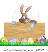 Vector Illustration of a Brown Easter Bunny Pointing down at a Wood Sign over Eggs in Grass by AtStockIllustration