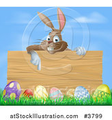 Vector Illustration of a Brown Easter Bunny Rabbit Pointing down at a Wood Sign over Eggs in Grass by AtStockIllustration