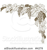 Vector Illustration of a Brown Grape Vine Corner Border by AtStockIllustration
