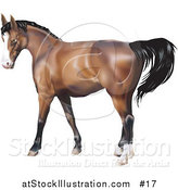 Vector Illustration of a Brown Horse with a Black Mane by AtStockIllustration