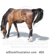 Vector Illustration of a Brown Horse with a Black Mane Grazing by AtStockIllustration