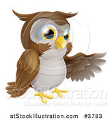 Vector Illustration of a Brown Owl Presenting by AtStockIllustration