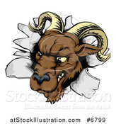 Vector Illustration of a Brown Snarling Ram Breaking Through a Wall by AtStockIllustration