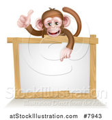 Vector Illustration of a Cartoon Brown Happy Baby Chimpanzee Monkey Giving a Thumb up and Pointing down to a Blank White Sign by AtStockIllustration