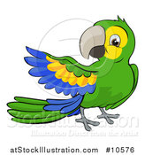 Vector Illustration of a Cartoon Green Macaw Parrot Presenting by AtStockIllustration