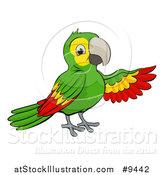 Vector Illustration of a Cartoon Green Macaw Parrot Presenting by AtStockIllustration