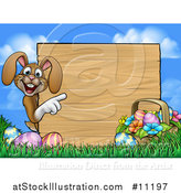 Vector Illustration of a Cartoon Happy Brown Easter Bunny Rabbit Pointing Around a Wood Sign Against Sky by AtStockIllustration