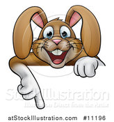 Vector Illustration of a Cartoon Happy Brown Easter Bunny Rabbit Pointing down over a Sign by AtStockIllustration