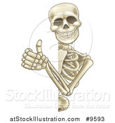 Vector Illustration of a Cartoon Human Skeleton Giving a Thumb up Around a Sign by AtStockIllustration