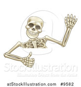 Vector Illustration of a Cartoon Human Skeleton Waving and Giving a Thumb up over a Sign by AtStockIllustration