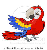 Vector Illustration of a Cartoon Scarlet Macaw Parrot Presenting by AtStockIllustration