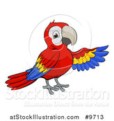 Vector Illustration of a Cartoon Scarlet Macaw Parrot Presenting to the Right by AtStockIllustration