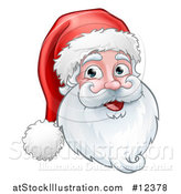 Vector Illustration of a Christmas Santa Claus Face by AtStockIllustration